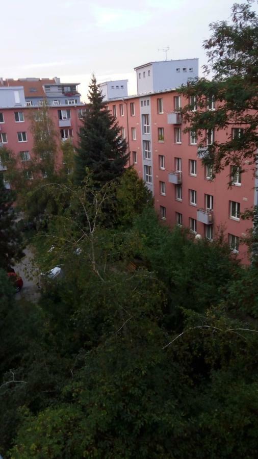 Apartment Uvoz Street 64